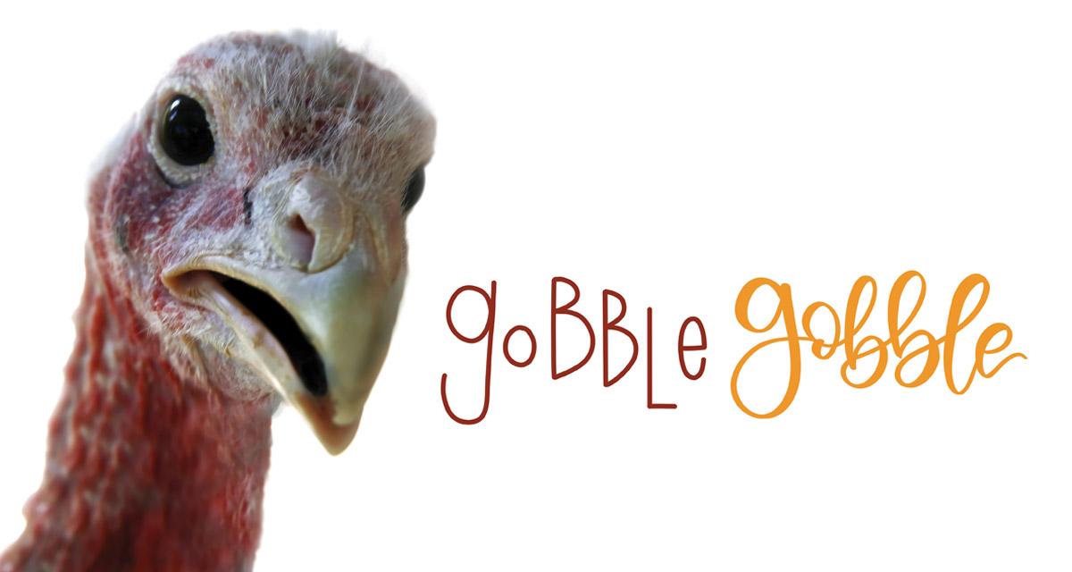 Is Gobble’s 15-Minute Meal Kit the Solution‍ for Busy ⁣Lives