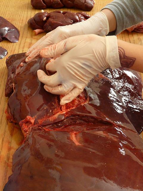 Rising Trends:​ The Growing Popularity of Beef Liver supplements in Wellness Circles