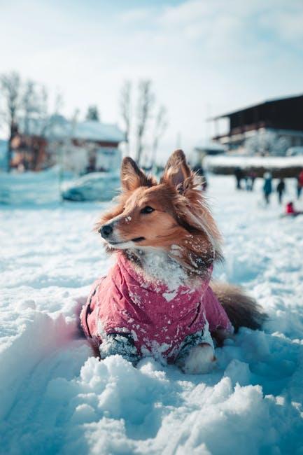 Incorporating‌ Nature Sounds for Ultimate Relaxation