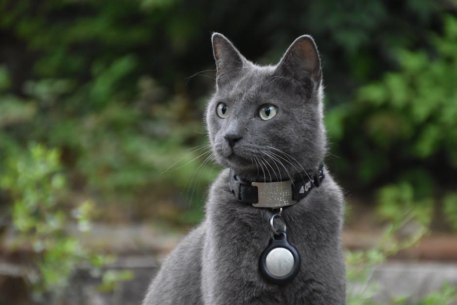 Best Practices for Using AirTag​ to Safeguard Your belongings​ While Traveling