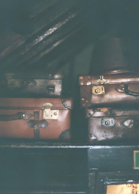 Tips for Choosing the Right Luggage lock for Your Travel Needs