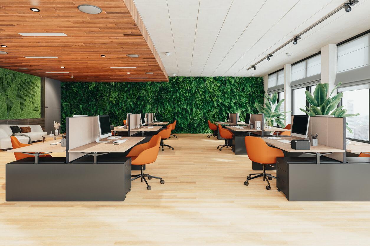 Cultivating a Green Workspace: Tips for Choosing Essential Items