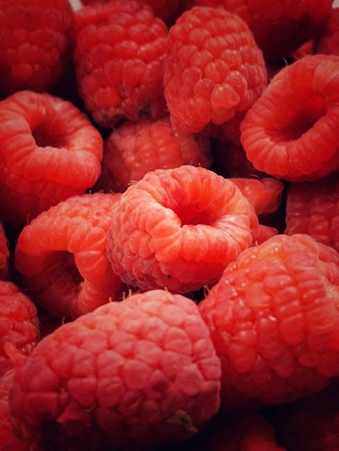 Navigating Vegan Diets: Ensuring Adequate B12 ⁤Intake
