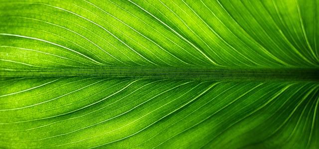 Materials Matter: A Deep Dive into Eco-Friendly​ Components