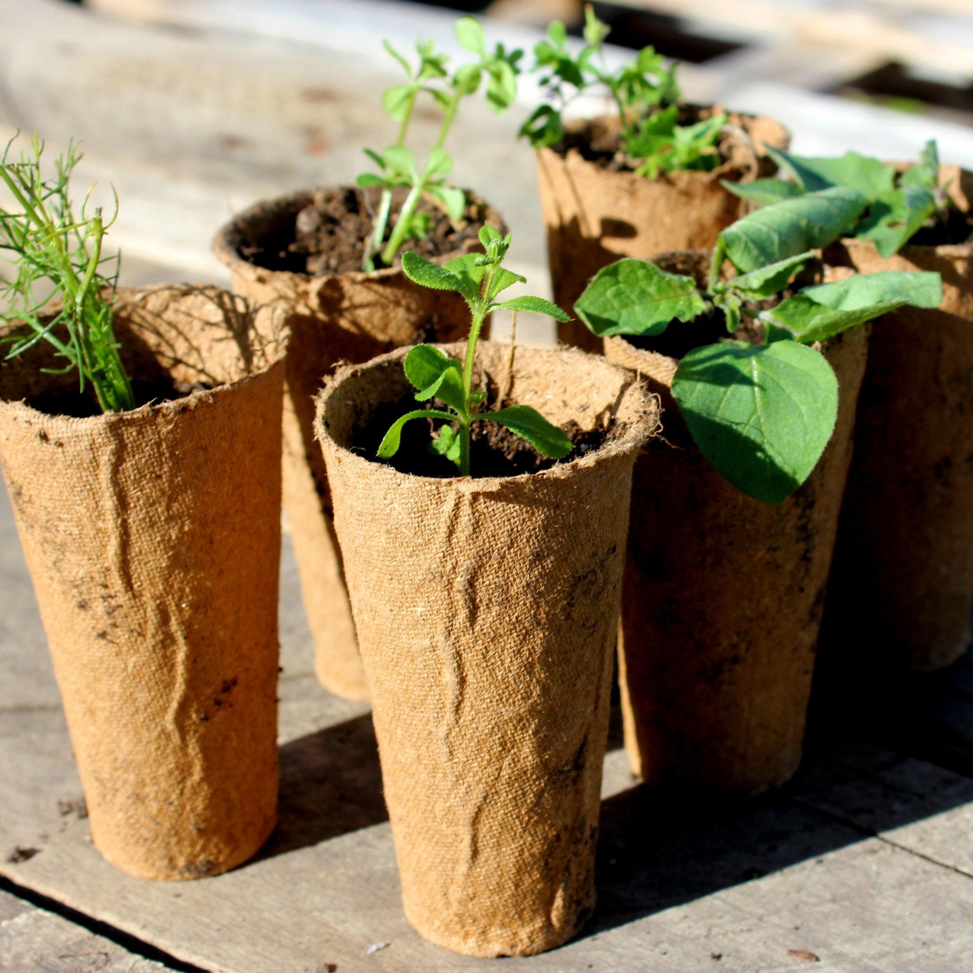 Exploring⁣ the⁣ Benefits of ⁤Biodegradable Plant Pots for Sustainable‍ Gardening