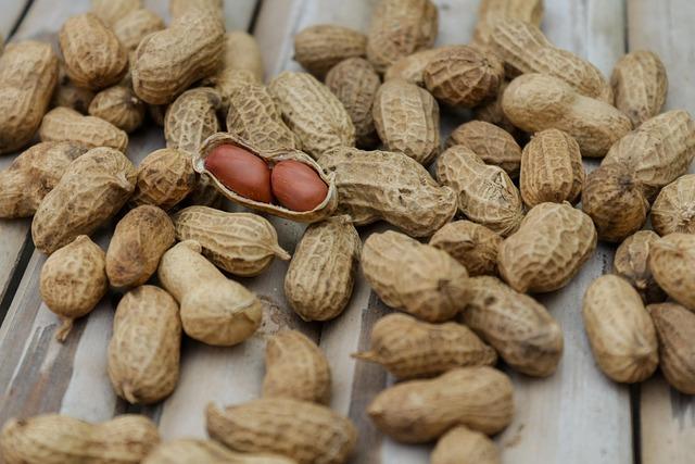 Nourishment and Renewal: The ⁣Role of⁢ Nutrition in Holistic health