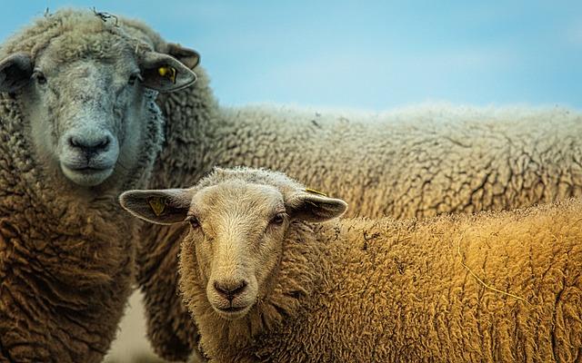 Sustainability Meets Self-Care: why⁣ Choose Herbivore Products