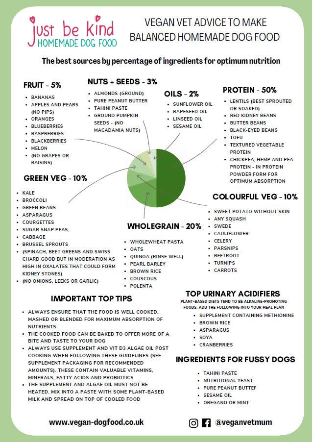 Creating a Greener⁢ Future:⁣ DIY Vegan Pet Accessory ideas