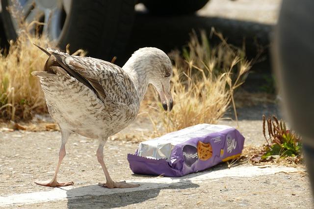 The‍ Hidden impact of Microplastics in Everyday Wear