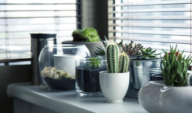 Innovative ⁤Designs and Brands Leading the ​Way in⁣ green Gardening Solutions