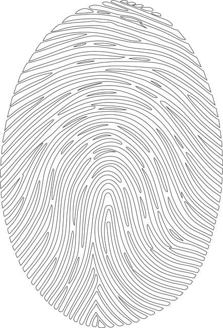 Personalizing Your ‌Security Experience with Customizable Features
