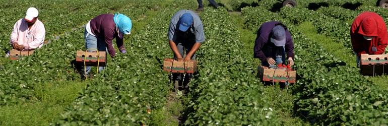 Supporting Local Communities through Ethical Sourcing Practices