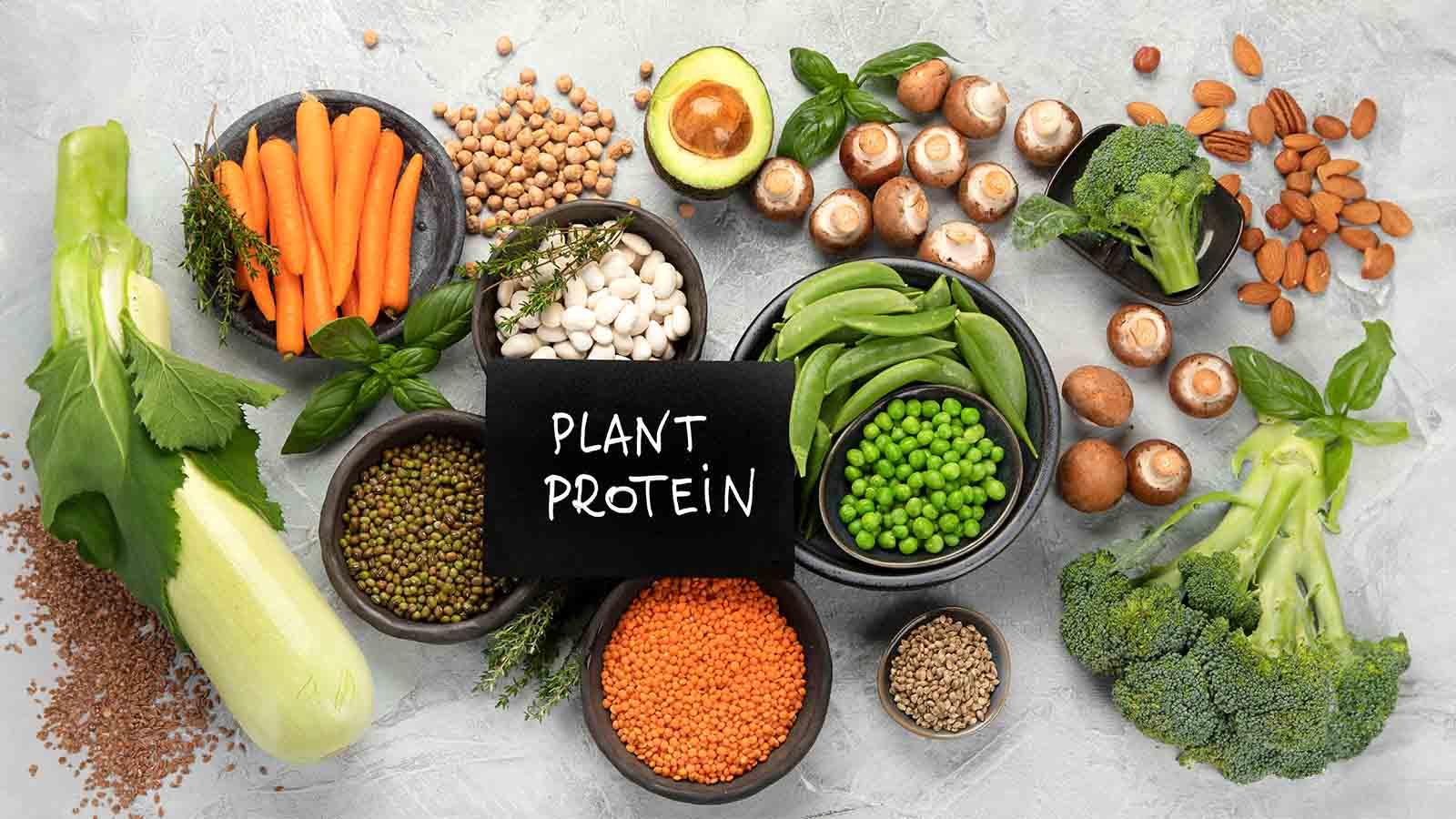 Achieving ‌Smooth Blends: The Mixability‌ Factor in Plant Proteins