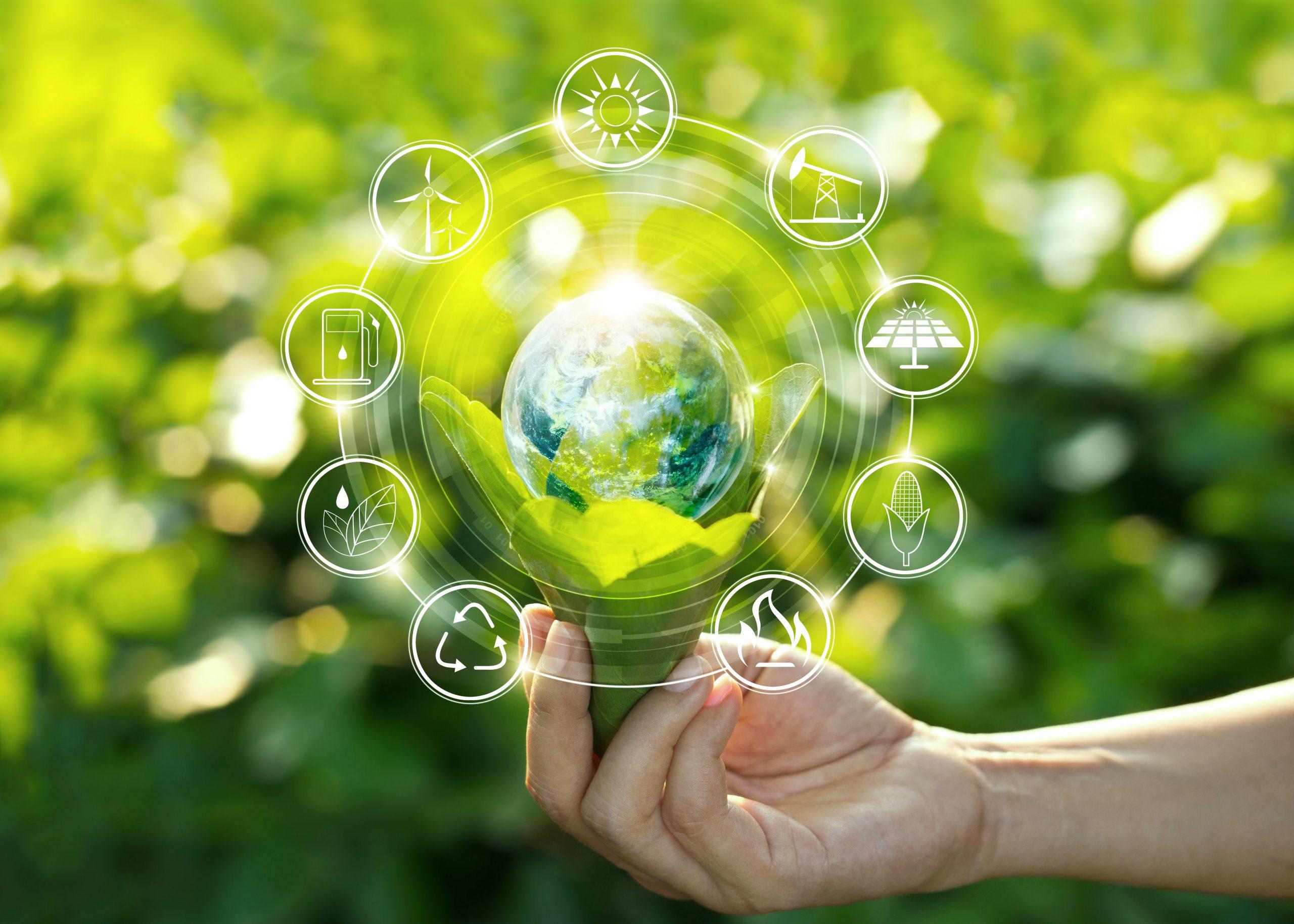 Sustainability and Ethics: The Brand's Commitment to Clean Beauty