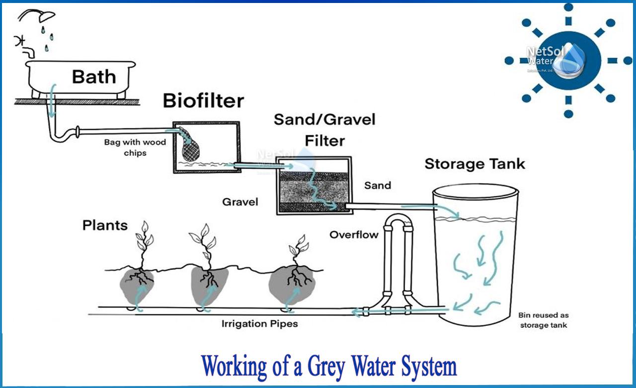 Understanding Ingredients and Their impact on Greywater Systems