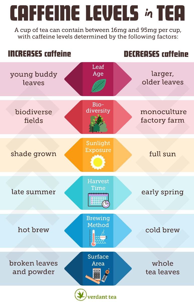 Low- and No-Caffeine Teas: Flavorful Options for All-Day Enjoyment
