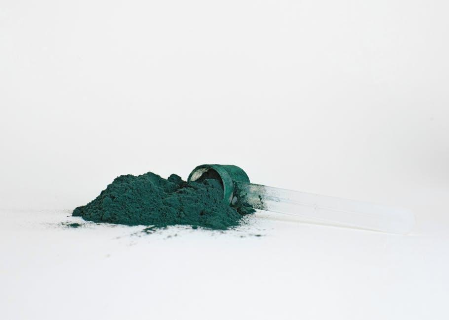 Plant-Based Protein Powders: Taste, Mixability, and Clean Ingredients