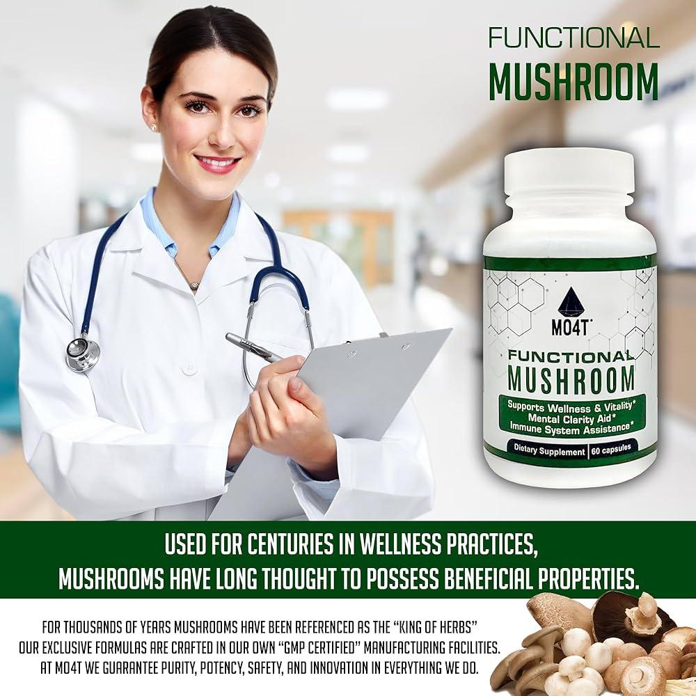 Functional Mushroom Supplements: Lion’s Mane, Reishi, and Cognitive Support
