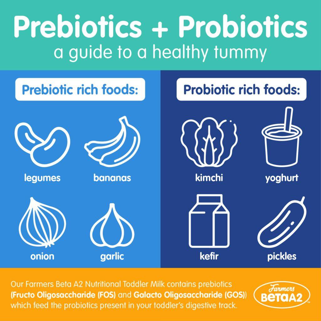 Prebiotics vs. Probiotics: What’s Best for Gut Health?