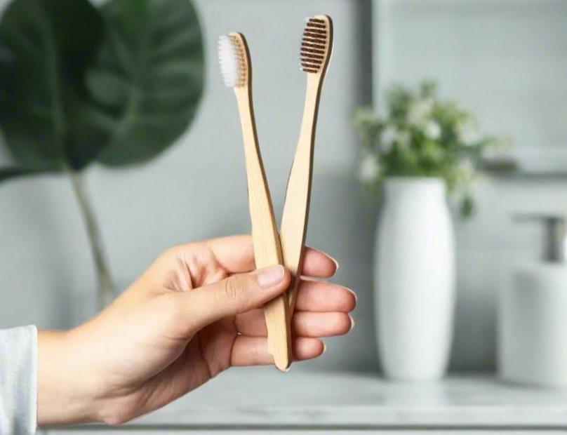 Bamboo Toothbrushes: Biodegradability, Bristle Quality, and Top Brands for 2025