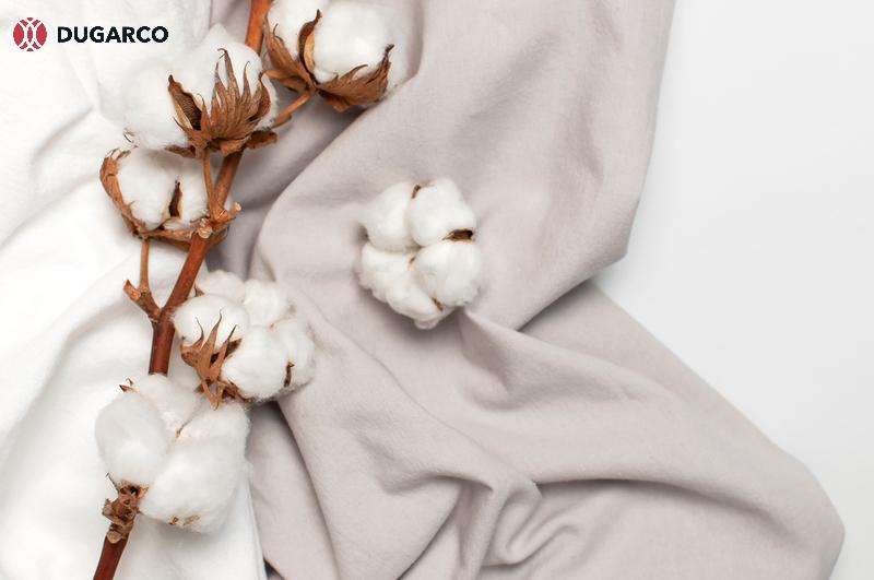 Organic Cotton Clothing: Comfort, Certifications, and Sustainable Fashion Leaders