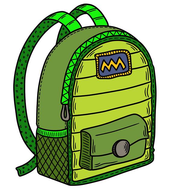 Paravel Fold-Up Bag: Packable Extra Storage for Souvenirs