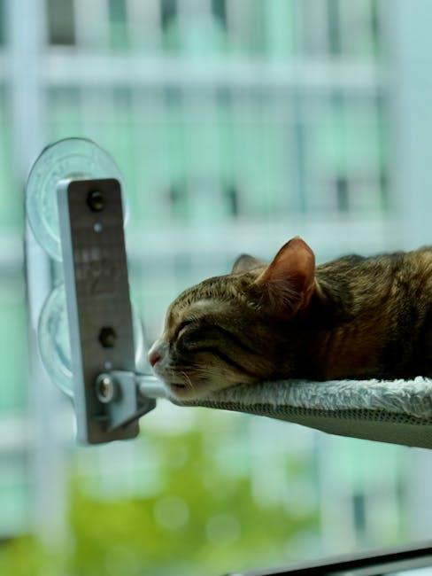 Finding Your Perfect Sleep Setting for Personalized Comfort